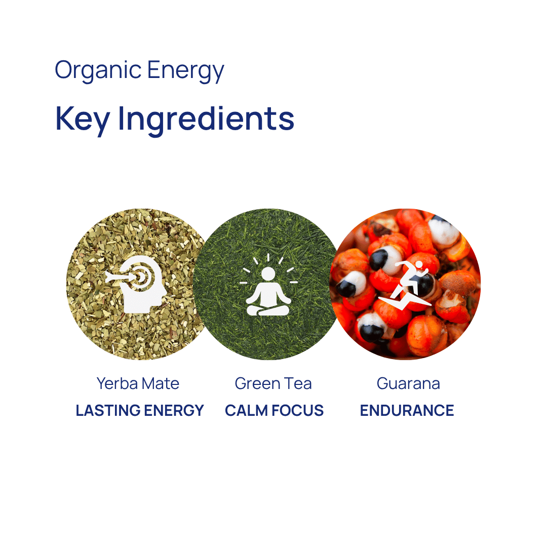 Key ingredients in Dakys Organic Energy: Yerba Mate for lasting energy, Green Tea for calm focus, and Guarana for endurance. 100% plant-based performance drink.