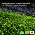 Shaded matcha tea plants growing in Japan’s volcanic hills, protected under a black netting to enhance chlorophyll production and flavor. Organic certification logos and the Japanese flag are visible, emphasizing origin and quality of Dakys Performance Matcha. 